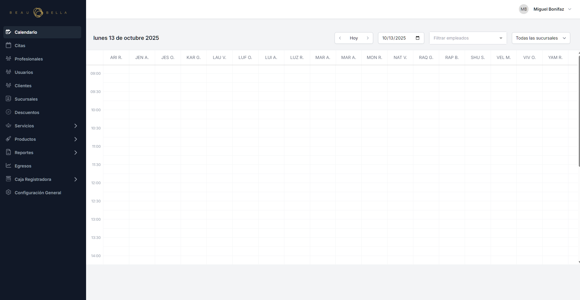 Vista previa del sistema BeauLW